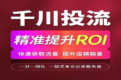 案例分析：SEM广告助力电商行业突破